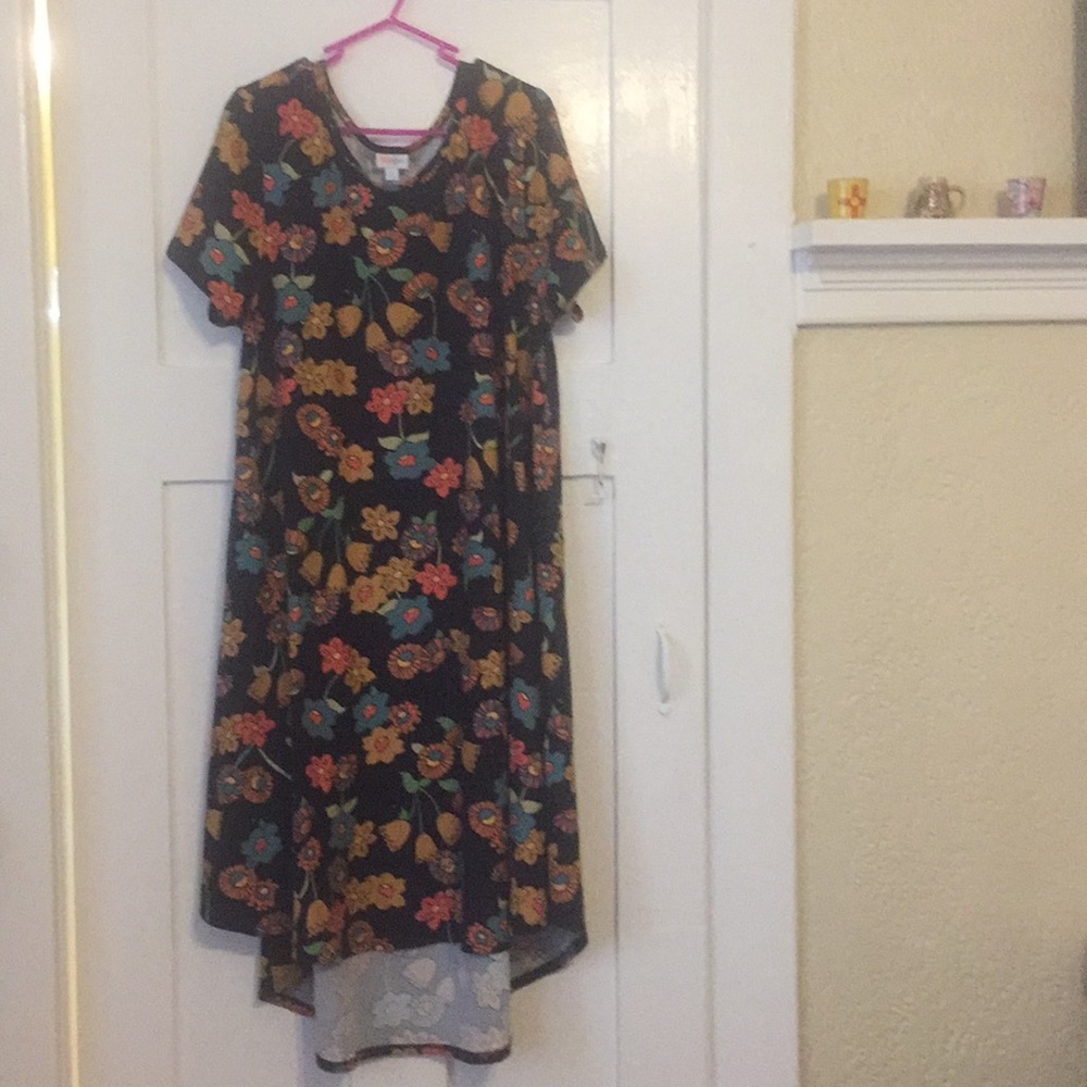 Lularoe Carly Dress 2X - floral print